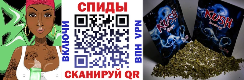 Купить где  Дагестанские Огни  Бутират буратино 