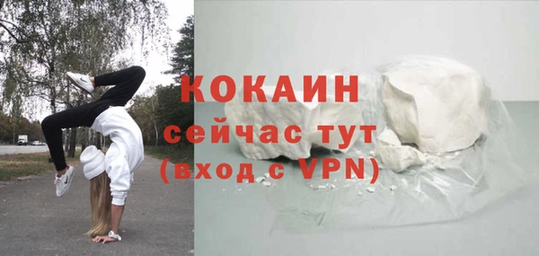 бошки Лагань