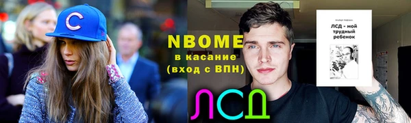 бошки Лагань